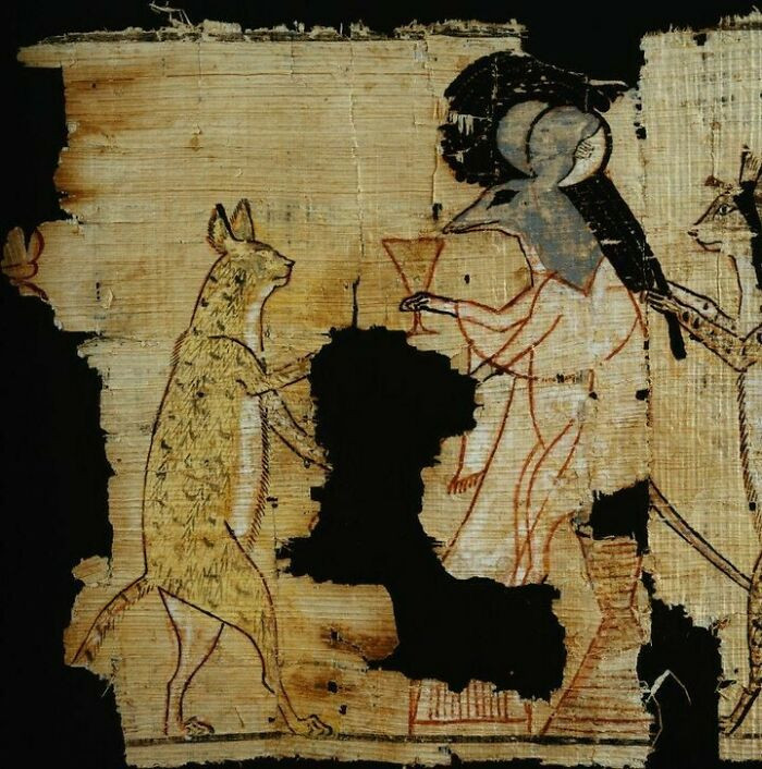 A papyrus from Tuna el-Gebel (ca. 1129–1111 BC) depicting a lady mouse being served a drink and having her hair arranged by cats.