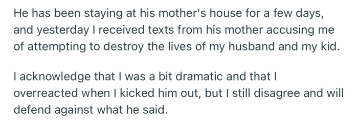 Even OP’s MIL Laid Her Own Accusations. She Was Adamant That OP Could End Up Destroying the Lives of Her Son and Grandchild.