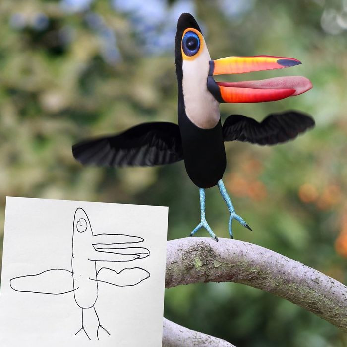26. I think they did well drawing a toucan