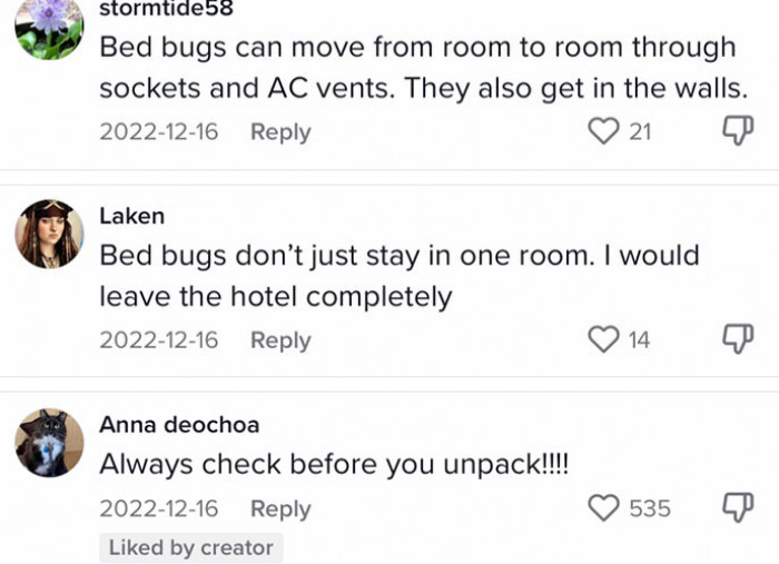 Bed bugs can be a big problem
