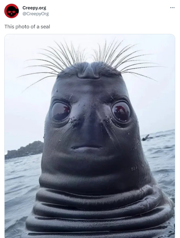 11. Giving Beaker vibes