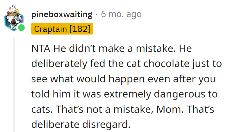Bro's not a chocolatier, just a cat-astrophe creator.