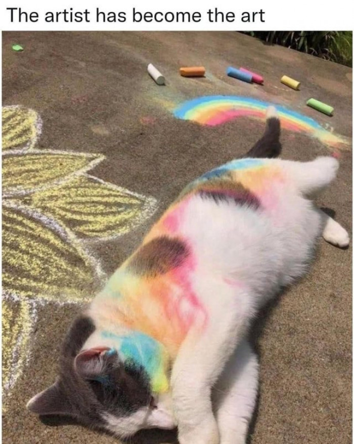 4. HAPPY PRIDE MONTH!!! YOU ARE LOVED! YOU ARE VALID!