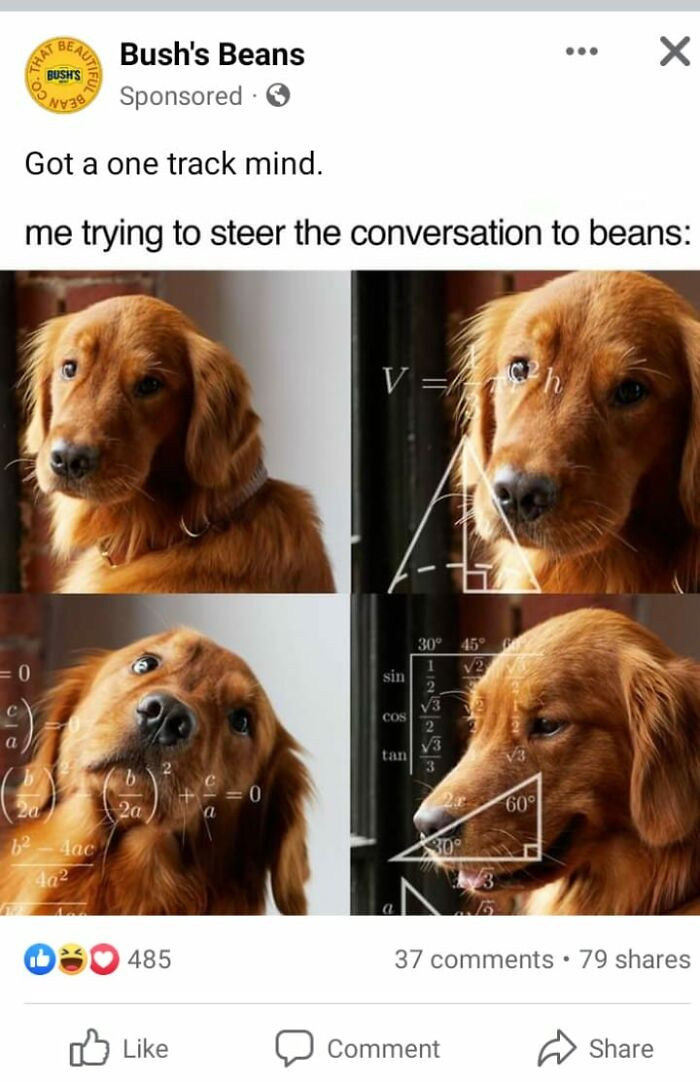 21. Bean Memes. I Expected Nothing Less From Bush's