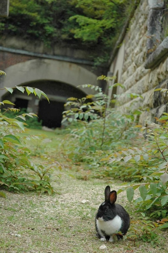 But after the war, the factories were wrecked and left behind.