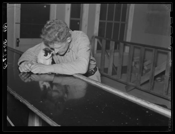 "Russell Lee, Man At The Bar On Saturday Night, Craigville, Minnesota, September 1937. Posted The Photo Back In The Day, But It Has This Lonely Desperate Feeling Of Existential Crisis"