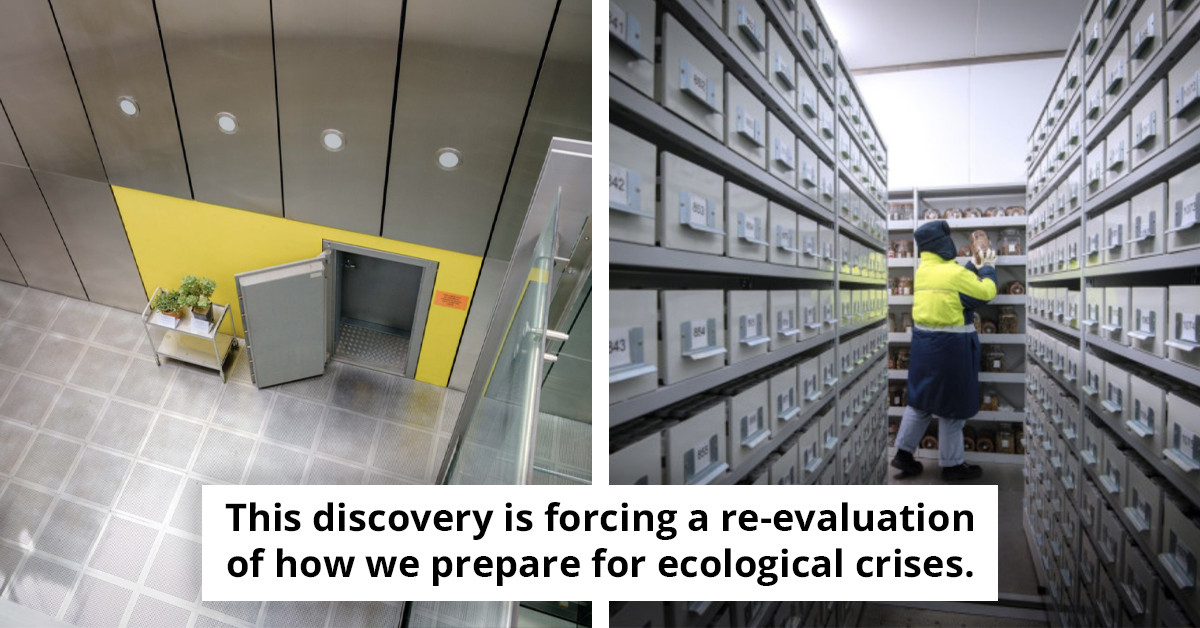 Discover the secrets within the globe's largest 'doomsday box' as researchers unveil it for the very first time!