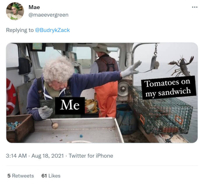 Tomatoes Make Your Sandwich Soggy, So Time to Toss Them Out!