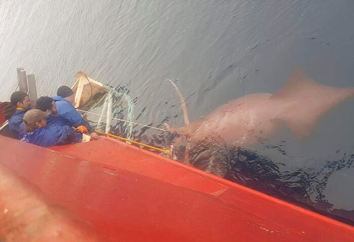 "My Friend Took This Photo From The Fishing Boat She Works On In Antarctica"