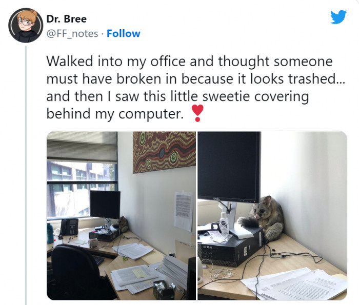 14. 'Sorry, human! I didn't mean it.'