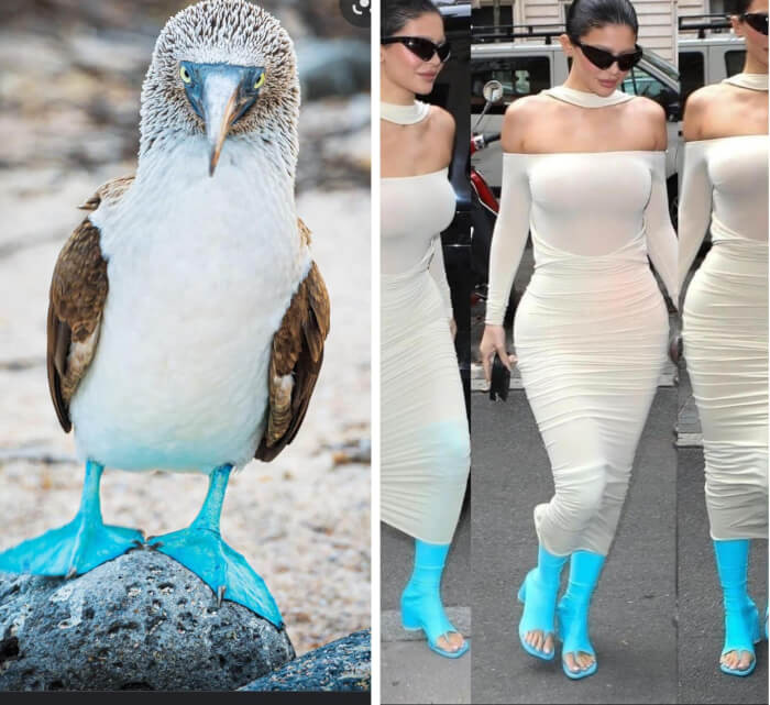 8. Yes, go ahead and steal their look