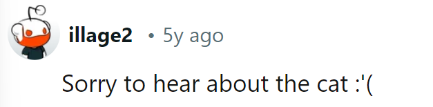 No worries, cats have nine lives, right? Maybe this one's just on a mini vacation!