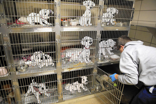18. 101 Dalmatians - the cost of raising 101 dalmatians is too high!