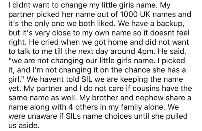 The OP's partner said there was no way they would change their little girl's name just because his SIL might have a daughter one day.