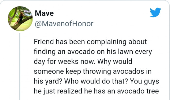 3. The look on his face when he saw the avocado tree must be priceless