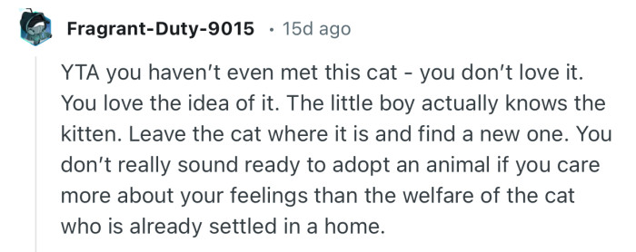 “The little boy actually knows the kitten. Leave the cat where it is and find a new one.”