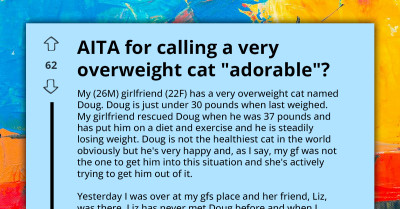 Man Slammed For Calling Girlfriend's Overweight Cat 'Adorable' In Heated Debate, Asks If He's Wrong