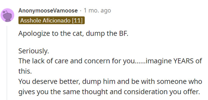 Apologize to the cat, bid the boyfriend adieu!