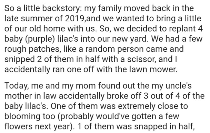 OP's family decided to replant 4 baby (purple) lilac's into their new yard and they had a few rough patches