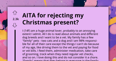 Young Girl's Christmas Ruined After Being Misled Into Thinking She's Getting A Puppy