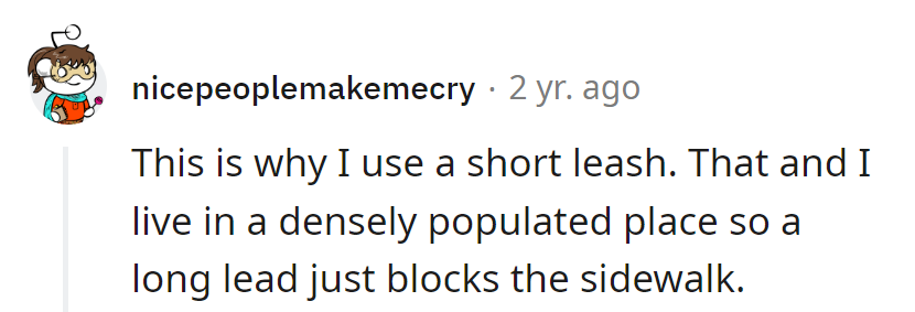 Short leash for big cities: keeping walks snappy and sidewalks happy!
