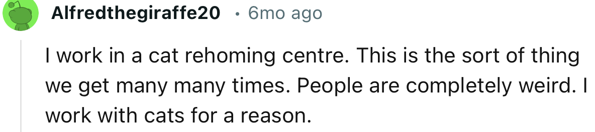 “I work in a cat rehoming centre. This is the sort of thing we get many, many times.”