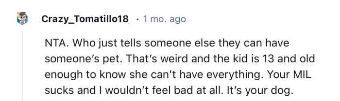 “NTA. Who just tells someone else they can have someone’s pet?”