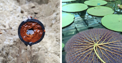 A Collection Of Rare Photos Offering A Different View Of The World