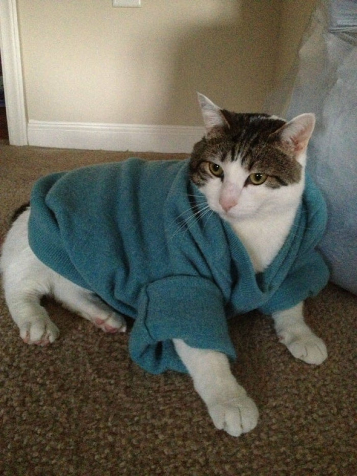 11. How to tell your husband you accidentally shrank his favorite wool sweater.