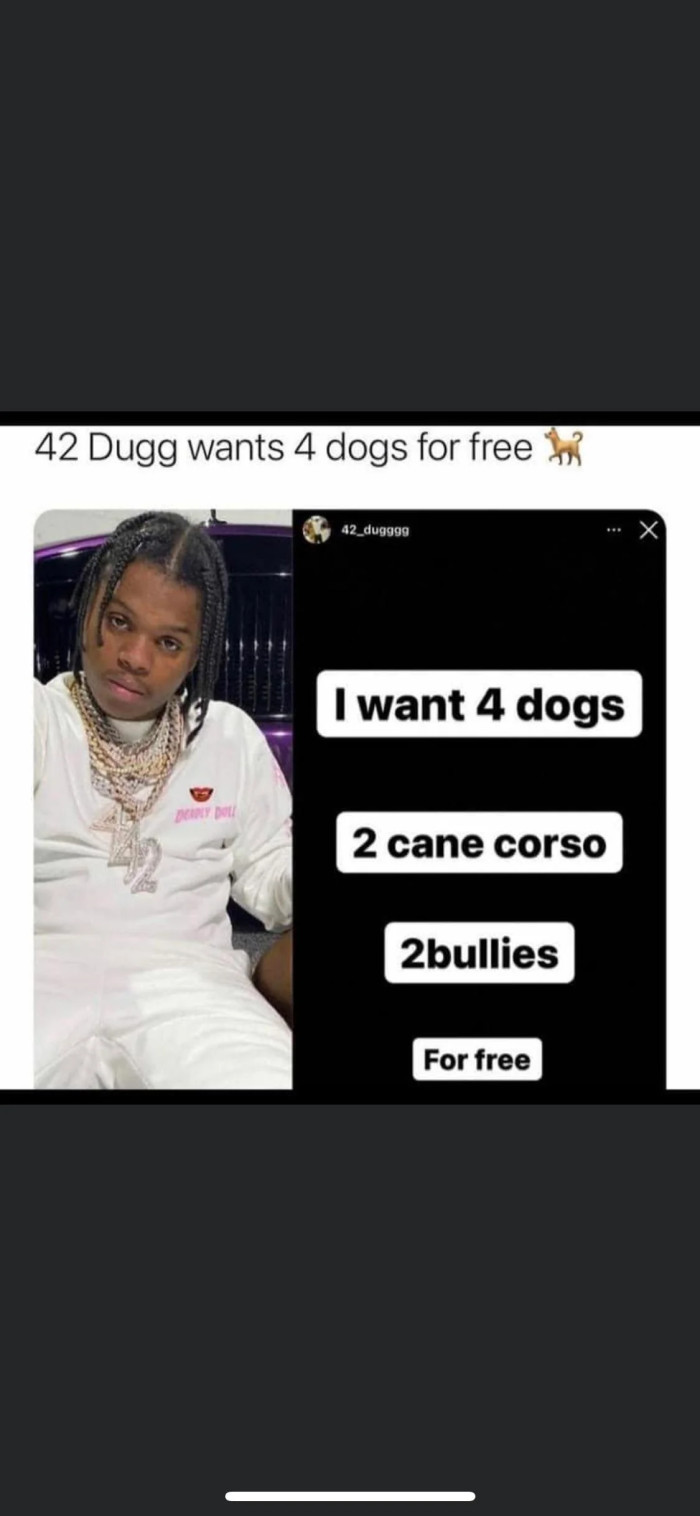 This is one hilarious dog request