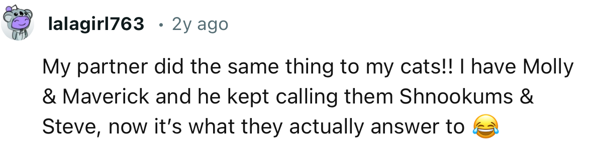 This user's partner did the exact same thing to their cat