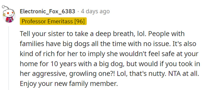 Large dogs can be just as loving and safe.