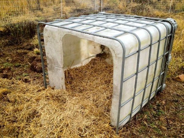 One user suggested this dog house to keep outdoor dogs warm in winter