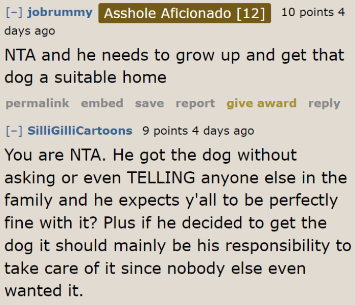 The husband needs to give up this dog.