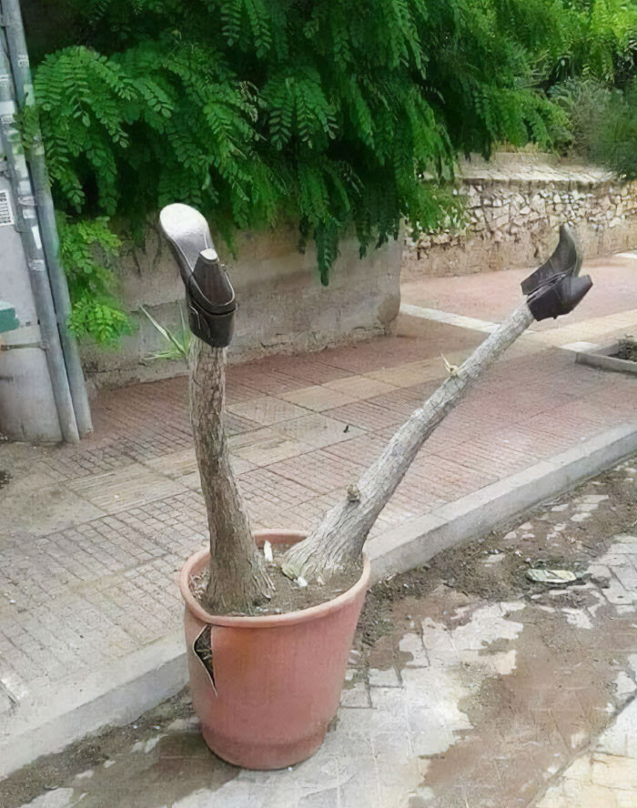 4. Who put those shoes there? Lol...