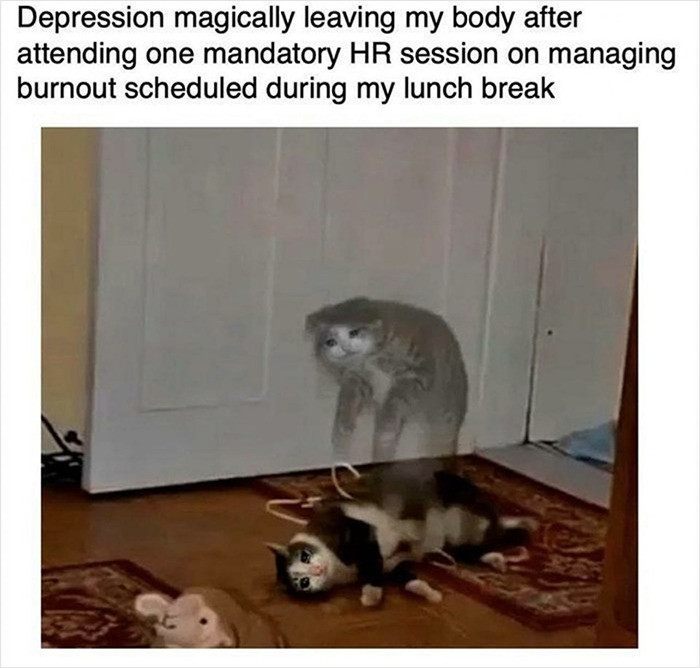 15. When HR Tries to Shoo Away the Burnout Blues!