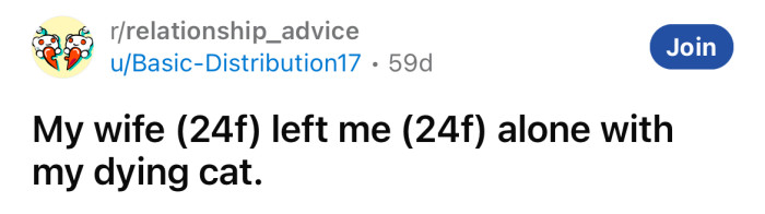 The Redditor asked for advice after her wife left her alone while her cat was dying.