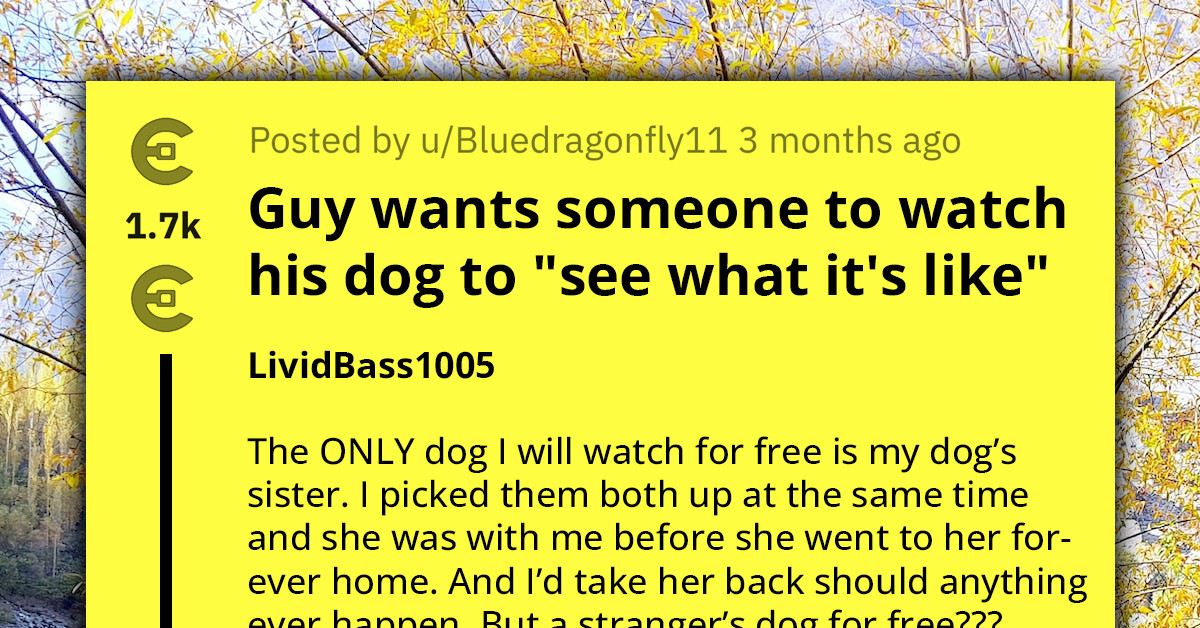 This Dog Owner Is In Need Of A Sitter, But Their Requirements Might Leave You Scratching Your Head