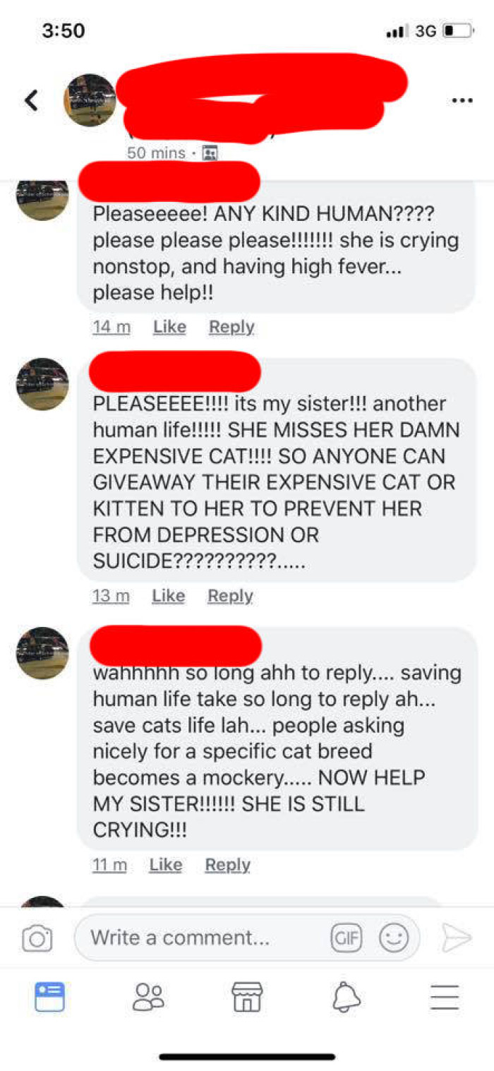 She is very persistent, while her sister is crying and probably choosing a weapon.