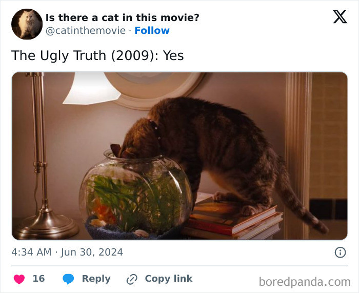 The Ugly Truth