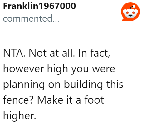 Redditors took the OP's side and advised her to ensure that the kids wouldn't be able to climb over the fence.