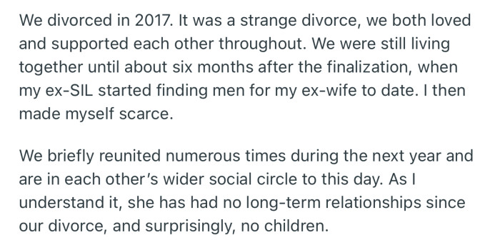The Pair Ended Up Splitting Up, but OP’s Ex-Wife Has Still Not Been Able to Have Kids Ever Since