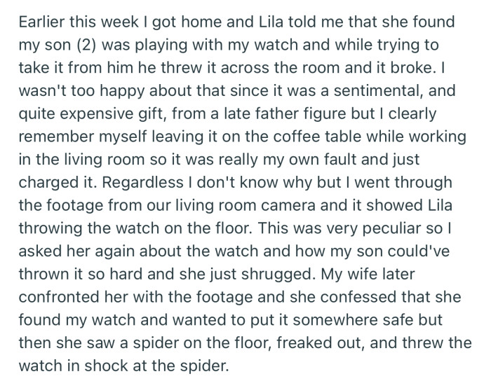 OP’s nanny reported that his toddler smashed his cherished watch. But the camera in the living room proved otherwise
