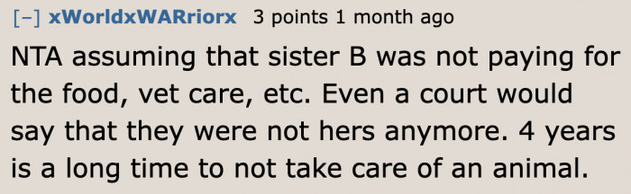 Even if they take it to court, the original dog owner wouldn't win the case.