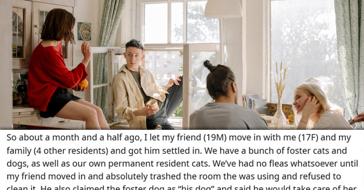 Roommate Brings Fleas Into Home, Infesting Redditor's Dog and Cats, Now He Is About to Be Kicked Out