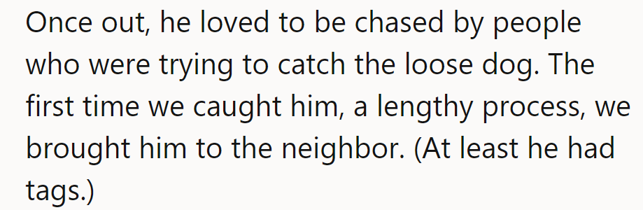 The commenter's Houdini dog loved a chase; catching him was tough, but at least he had tags.