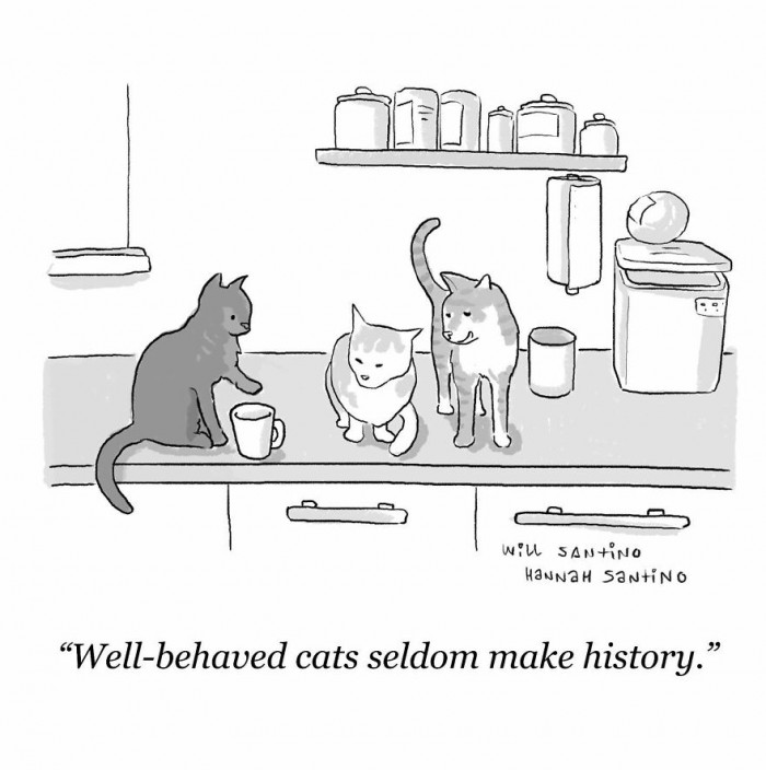 11. So let's make a ruckus and cause mayhem