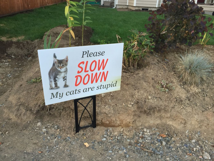 6. “Sign recently erected in my neighborhood.”