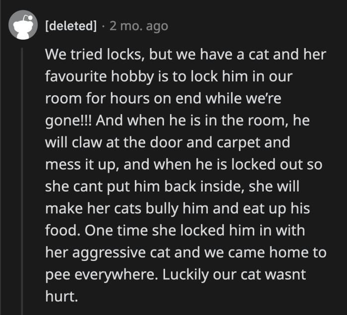 Terrible behavior towards animals is such a good tell about a person's character