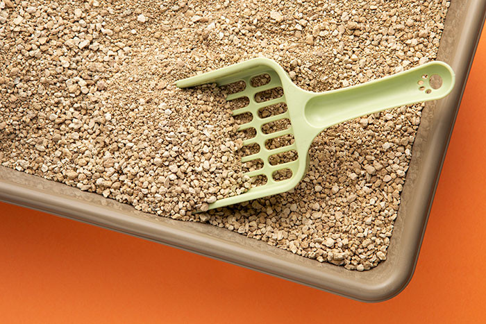 49. Went out with a girl one night. Got back to her place and the smell of dirty litter box was so strong it made my eyes water.